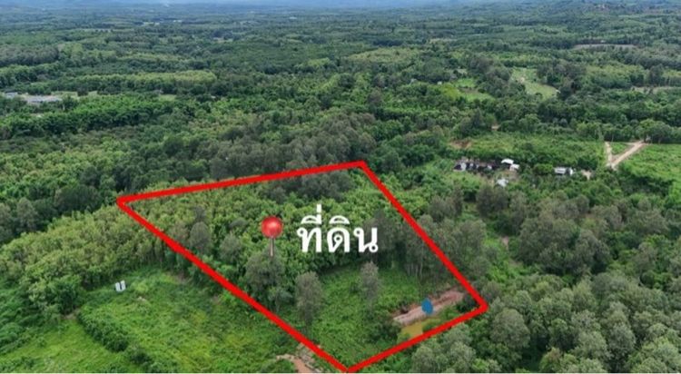 ใช่ ลดแรง 1 ล้าน ที่ดิน 7 ไร่ 3 งาน 90 ตารางวา จาก 6.5 ล้าน เหลือ 5.5 ล้าน รูปที่ 2