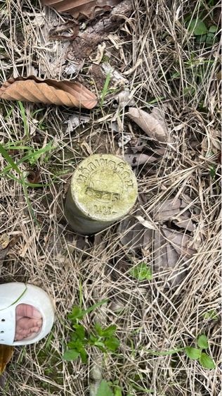 ใช่ ลดแรง 1 ล้าน ที่ดิน 7 ไร่ 3 งาน 90 ตารางวา จาก 6.5 ล้าน เหลือ 5.5 ล้าน รูปที่ 4