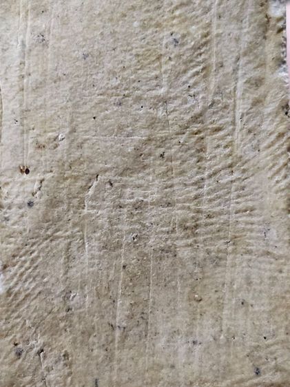 พระสมเด็จรัศมี หลวงปู่ศุข ออกวัดคลองขอม จ.สุพรรณบุรี เนื้อผง ปี 2460 รูปที่ 7