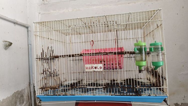 พ่อแม่ลูก ชูการ์ รูปที่ 3