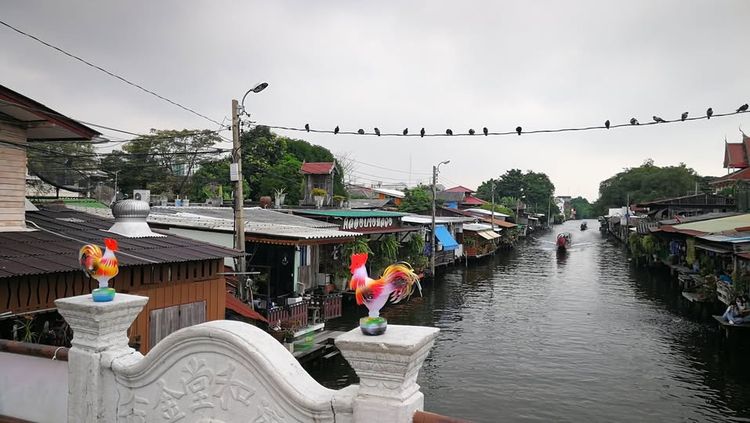 ขายที่ดิน90ตรว.ติดคลองบางกอกใหญ่(คลองบางหลวง)  แหล่งท่องเที่ยวตลาดน้ำชุมชนคลองบางหลวง ซอยจรัญสนิทวงศ์3 แขวงวัดท่าพระ รูปที่ 4