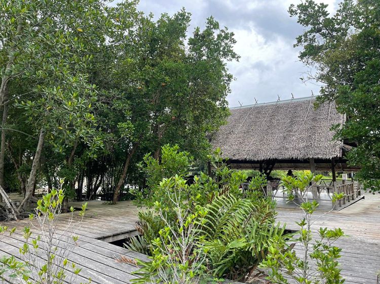 ขายที่ดินพร้อมสิ่งปลูกสร้าง โฉนดนส.3ก.ติดคลองบางตะบูน 1ไร่36ตรว.ด้านหน้าติดถนนคอนกรีต(ถนน2เลน) รูปที่ 3