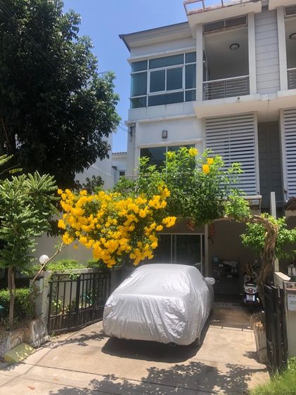 ตกแต่งครบ 2015 ขาย เพอร์เฟคมาสเตอร์พีซและเดอร์เมทโทพระราม9 ทาวน์เฮ้าส์ 3ชั้น 3ห้องนอน 3ห้องนำ้ 1ห้องนั่งเล่น ขนาด 18.8 ตารางวา ราคา4.5ล้านบาท รูปที่ 2