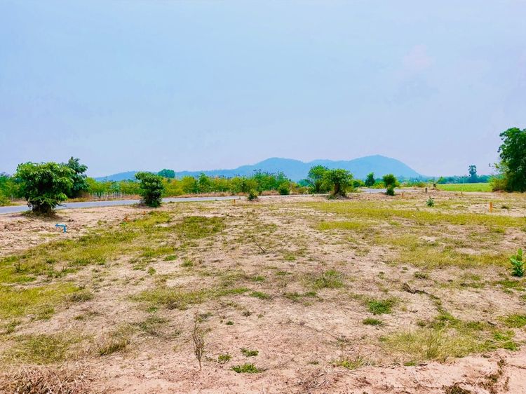 ใช่ ที่ดินวิวเขาสวย สุพรรณบุรี ติดถนนลาดยาง รูปที่ 3