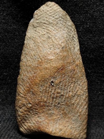 พระรอดลำพูนพิมพ์ใหญ่ครับ รูปที่ 7