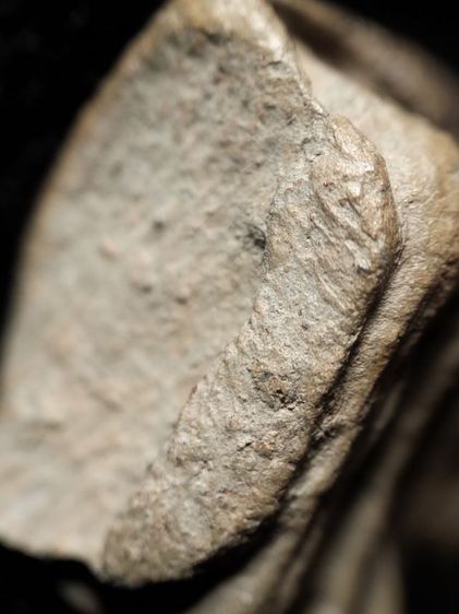 พระรอดลำพูนพิมพ์ใหญ่ครับ รูปที่ 17