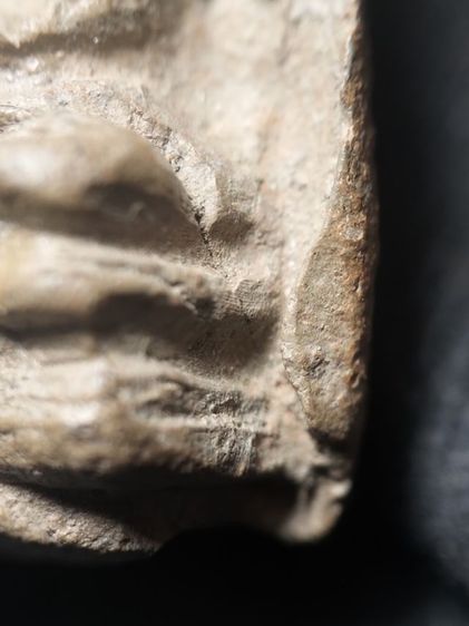 พระรอดลำพูนพิมพ์ใหญ่ครับ รูปที่ 14