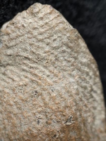 พระรอดลำพูนพิมพ์ใหญ่ครับ รูปที่ 12