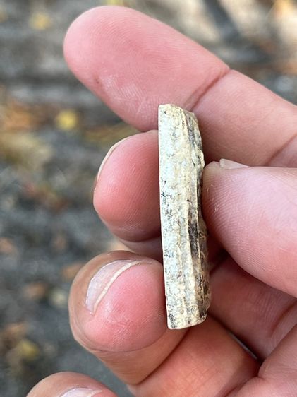 สมเด็จจากหิ้งเดิม รูปที่ 4