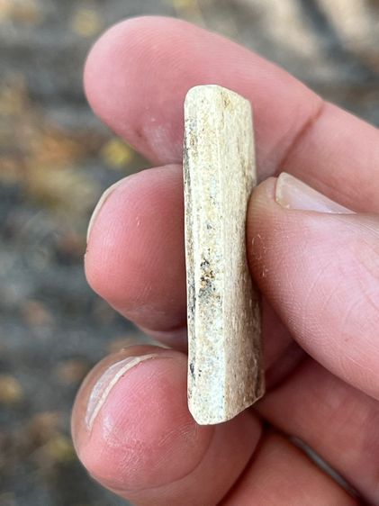 สมเด็จจากหิ้งเดิม รูปที่ 3