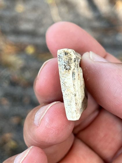 สมเด็จจากหิ้งเดิม รูปที่ 5