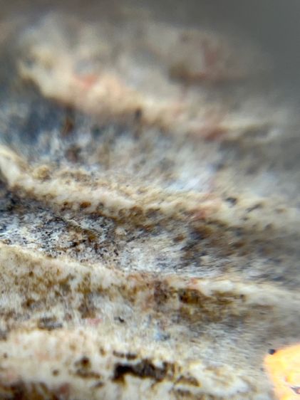 สมเด็จจากหิ้งเดิม รูปที่ 7