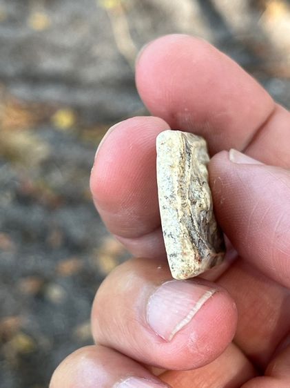 สมเด็จจากหิ้งเดิม รูปที่ 6