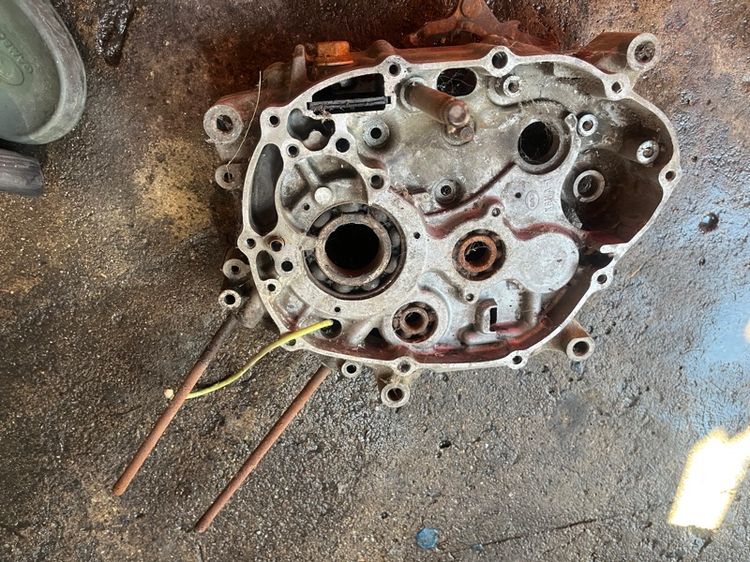 แคล้งกลาง รูปที่ 2