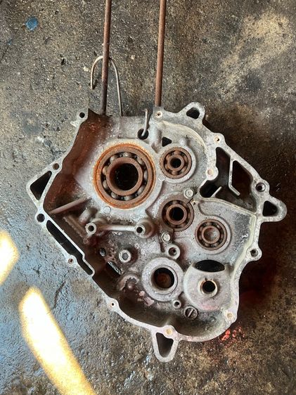 แคล้ง รูปที่ 2