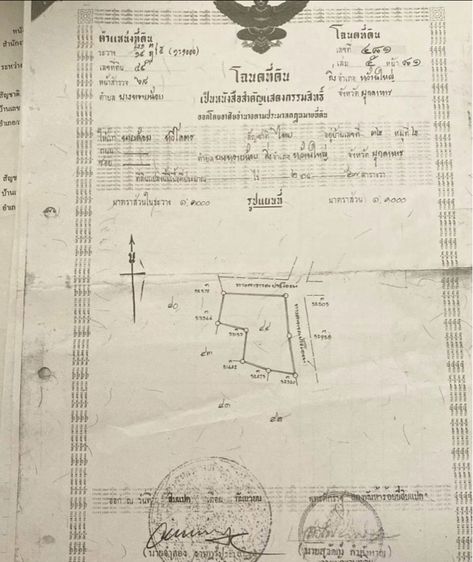 บ้านพร้อมที่ดิน 