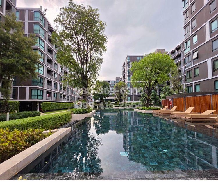 ไม่อนุญาต ตกแต่งครบ ขายด่วนคอนโดตกแต่งสวยพร้อมคนเช่า