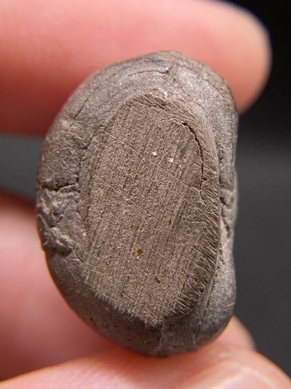 พระปิดตามหาลาภประสิทธิโชค รุ่นเสาร์5 วัดโคกพระศิลาราม อ.พนัสนิคม จ.ชลบุรี ปี 53 เนื้อผงพุทธคุณ ผงว่าน รูปที่ 5