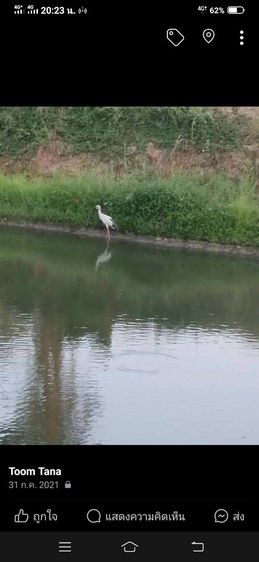 11ไร่ครึ่ง จ.อ่างทอง ห่าง7-11 ธ.ก.ส.ประมาณ2กม.ติดถนนกว้างด้านข้างติดบึงใหญ่ลำรางสาธรณะสนใจ0813626583 รูปที่ 2