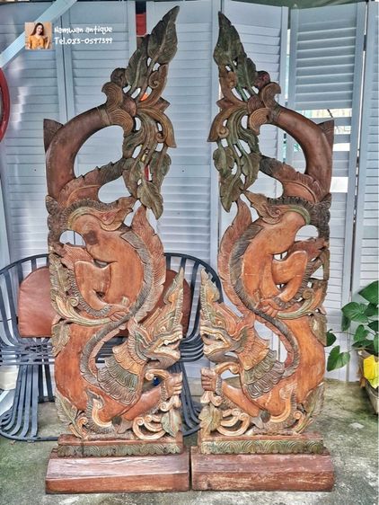 พญานาคไม้เก่า