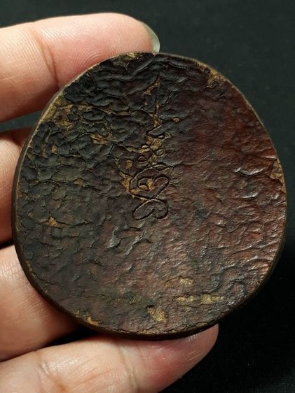 กะลาแกะไม่ทราบที่ รูปที่ 2