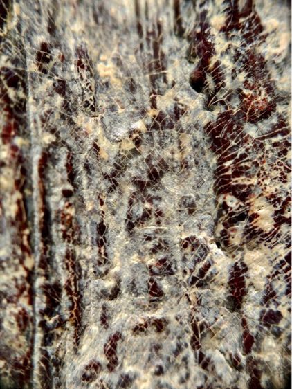 พระร่วงหลังรางปืน พิมนิยม กรุวัดพระศรีรัตนมหาธาตุราชวรวิหาร  หรือกรุวัดพระปรางค์ สุโขทัย   เนื้อตะกั่วสนิมแดง  รูปที่ 16