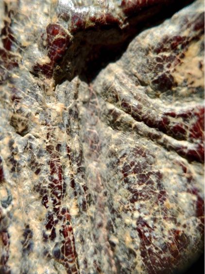 พระร่วงหลังรางปืน พิมนิยม กรุวัดพระศรีรัตนมหาธาตุราชวรวิหาร  หรือกรุวัดพระปรางค์ สุโขทัย   เนื้อตะกั่วสนิมแดง  รูปที่ 10