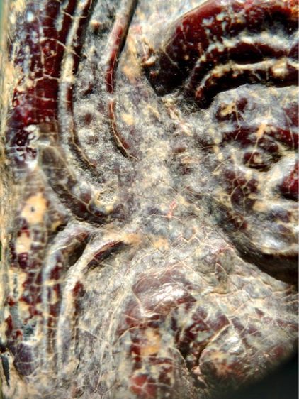 พระร่วงหลังรางปืน พิมนิยม กรุวัดพระศรีรัตนมหาธาตุราชวรวิหาร  หรือกรุวัดพระปรางค์ สุโขทัย   เนื้อตะกั่วสนิมแดง  รูปที่ 3