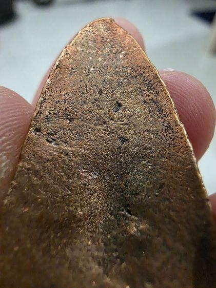 รูปหล่อ เนื้อโลหะ หลวงปู่ทวด หลังเตารีด สวย เดิมๆ หนักๆ ไม่ทราบที่ ขายตามสภาพ พร้อมส่งครับ รูปที่ 6