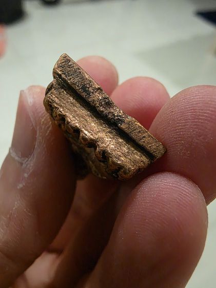 รูปหล่อ เนื้อโลหะ หลวงปู่ทวด หลังเตารีด สวย เดิมๆ หนักๆ ไม่ทราบที่ ขายตามสภาพ พร้อมส่งครับ รูปที่ 7