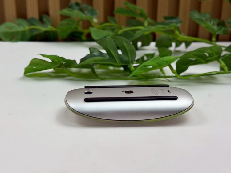 Apple Magic Mouse (Lightning)  รูปที่ 4
