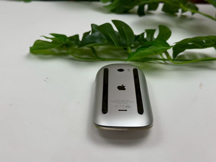 Apple Magic Mouse (Lightning)  รูปที่ 5