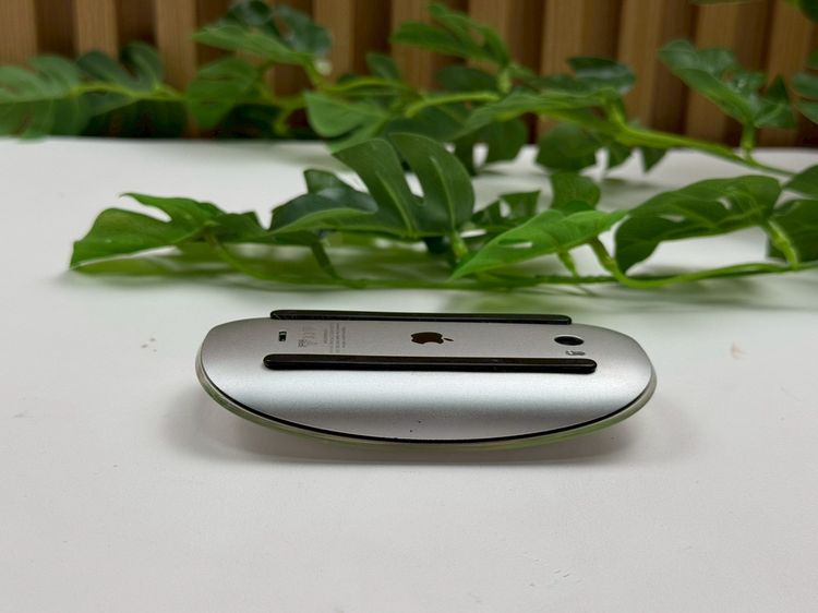 Apple Magic Mouse (Lightning)  รูปที่ 3