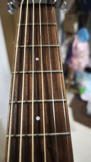 ขายกีตาร์ Mini Camper KOA รูปที่ 15