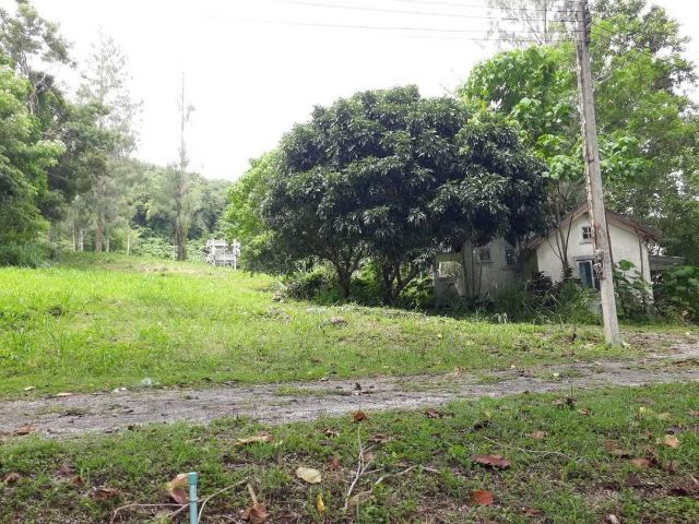 ใช่ ที่ดินเปล่า 125 ตรว. (บรุ๊คไซด์ วัลเล่ รีสอร์ท ระยอง) รูปที่ 4