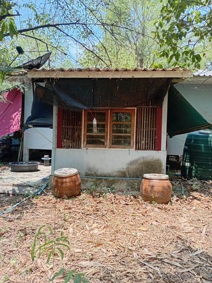 อื่นๆ ไม่มี 2014 ไม่ใช่ ขายบบ้านพร้อมที่ดิน รูปที่ 3