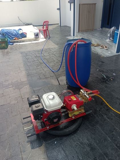 บริการ กําจัดแมลง ปลวก ม แมลงสาบ รูปที่ 3