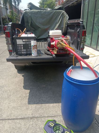 บริการ กําจัดแมลง ปลวก ม แมลงสาบ รูปที่ 5