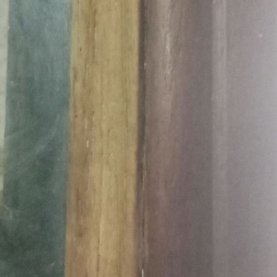 รูปภาพเก่า ร.9 กรอบไม้สัก รูปที่ 8