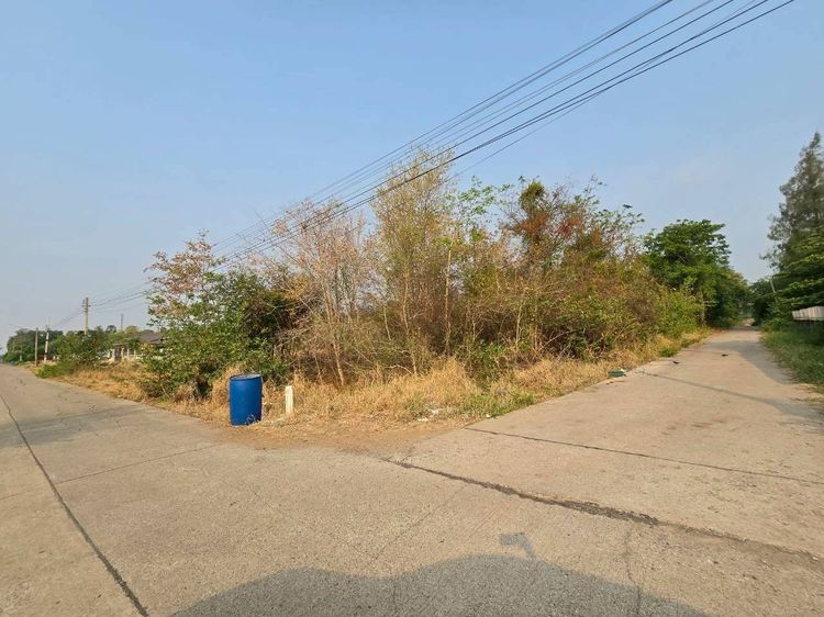 ขายที่ดิน 2 แปลง 2 งาน 83 ตร.วา ทำเลดี ราคาถูก ติดถนน รูปที่ 3