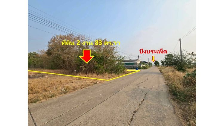 ขายที่ดิน 2 แปลง 2 งาน 83 ตร.วา ทำเลดี ราคาถูก ติดถนน รูปที่ 2