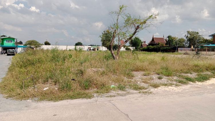 ขายที่ดินถมแล้ว 378.5 ตารางวา ใกล้ถนนราชพฤกษ์ ซอยร่วมใจ1 คลองข่อย อำเภอปากเกร็ด จังหวัดนนทบุรี รูปที่ 3