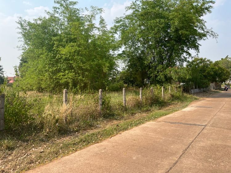 ใช่ ที่ดินโฉนด รูปที่ 4