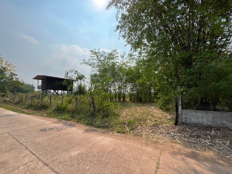 ใช่ ที่ดินโฉนด รูปที่ 2