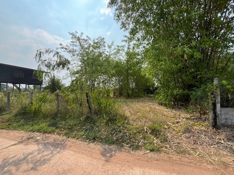 ที่ดินโฉนด