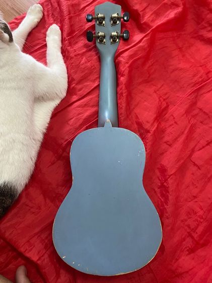 ขาย Ukulele Kaka รุ่น KUS-18WHRO ขายตามสภาพครับ รูปที่ 2