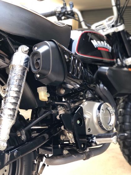 monkey125 รูปที่ 6