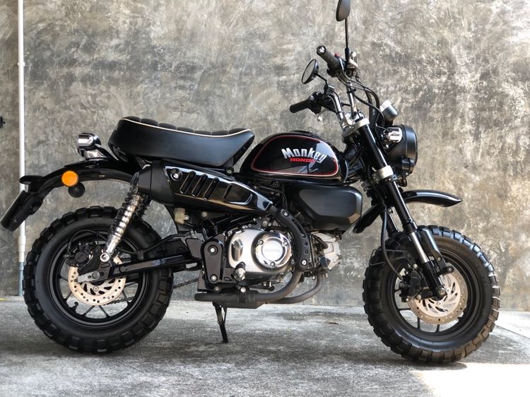 monkey125 รูปที่ 2