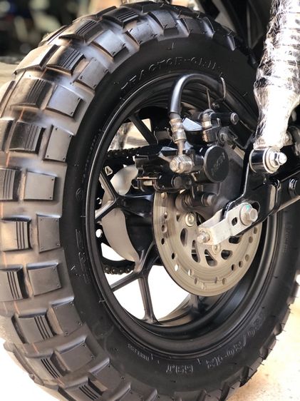 monkey125 รูปที่ 9