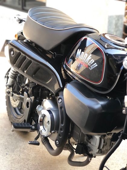 monkey125 รูปที่ 5